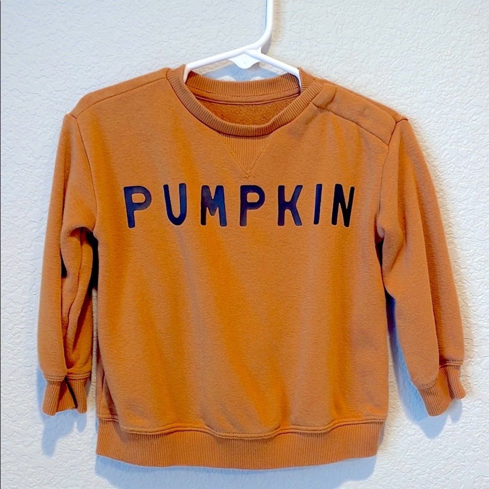 Little Co. by Lauren Conrad Toddler pullover